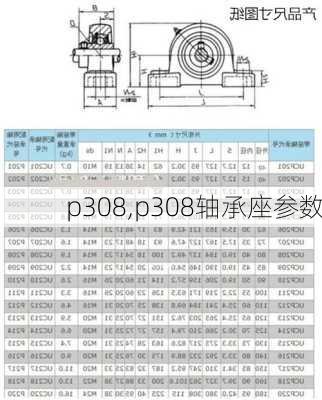 p308,p308轴承座参数