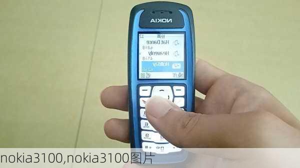 nokia3100,nokia3100图片