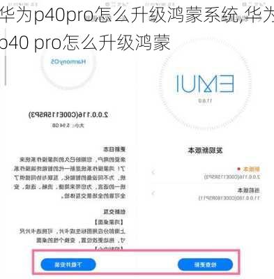 华为p40pro怎么升级鸿蒙系统,华为p40 pro怎么升级鸿蒙