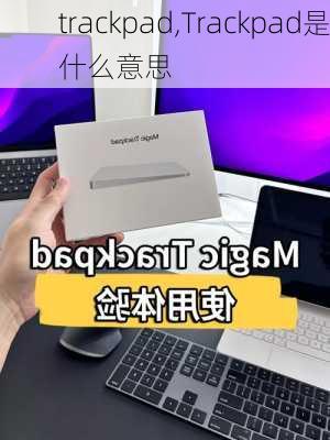 trackpad,Trackpad是什么意思