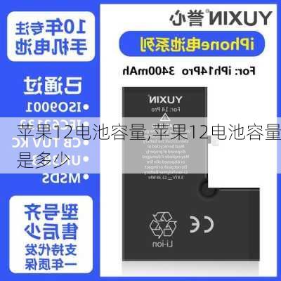苹果12电池容量,苹果12电池容量是多少