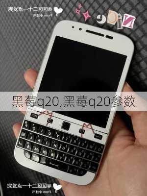 黑莓q20,黑莓q20参数