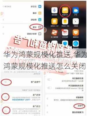 华为鸿蒙规模化推送,华为鸿蒙规模化推送怎么关闭