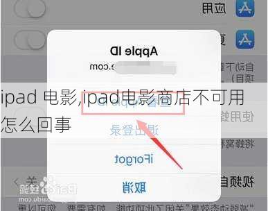 ipad 电影,ipad电影商店不可用怎么回事