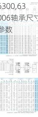 6300,63006轴承尺寸参数