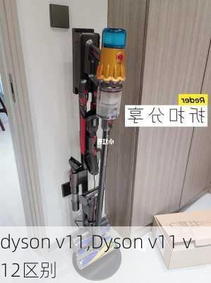 dyson v11,Dyson v11 v12区别