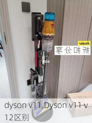 dyson v11,Dyson v11 v12区别