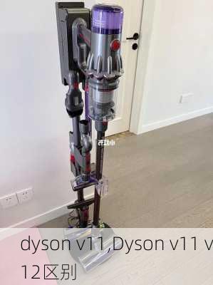 dyson v11,Dyson v11 v12区别