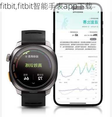 fitbit,fitbit智能手表app下载