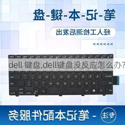 dell 键盘,dell键盘没反应怎么办?