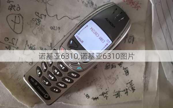 诺基亚6310,诺基亚6310图片