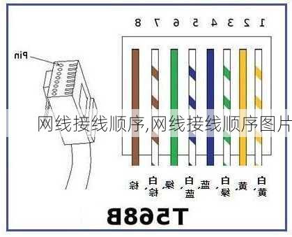 网线接线顺序,网线接线顺序图片