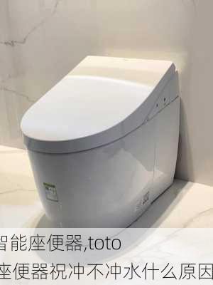 toto智能座便器,toto智能座便器祝冲不冲水什么原因