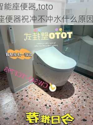 toto智能座便器,toto智能座便器祝冲不冲水什么原因