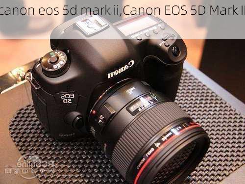 canon eos 5d mark ii,Canon EOS 5D Mark III