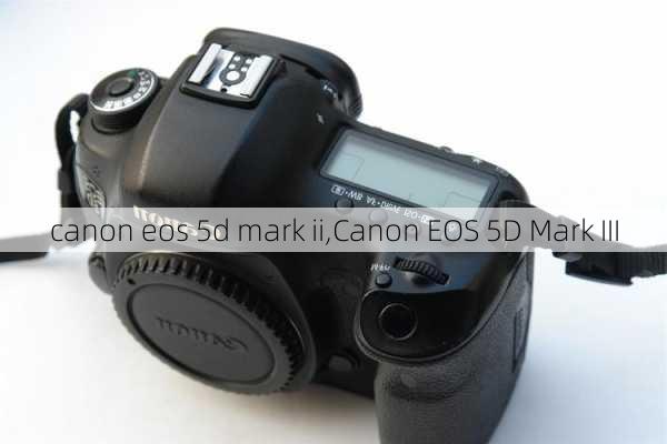 canon eos 5d mark ii,Canon EOS 5D Mark III