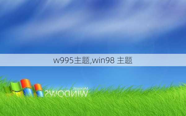 w995主题,win98 主题