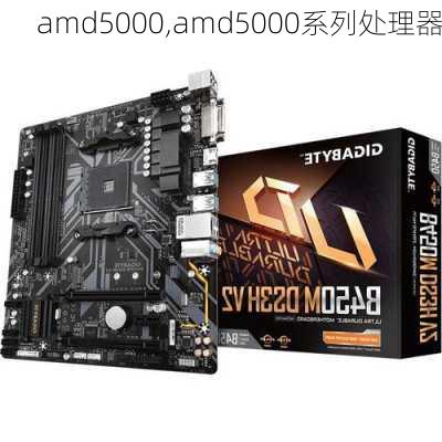 amd5000,amd5000系列处理器