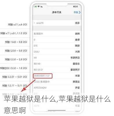 苹果越狱是什么,苹果越狱是什么意思啊