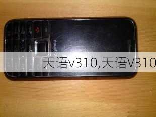 天语v310,天语V310