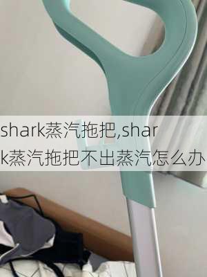 shark蒸汽拖把,shark蒸汽拖把不出蒸汽怎么办