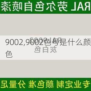 9002,9002色号是什么颜色