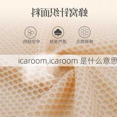 icaroom,icaroom 是什么意思