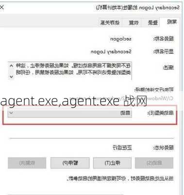 agent.exe,agent.exe 战网