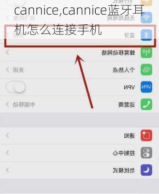 cannice,cannice蓝牙耳机怎么连接手机