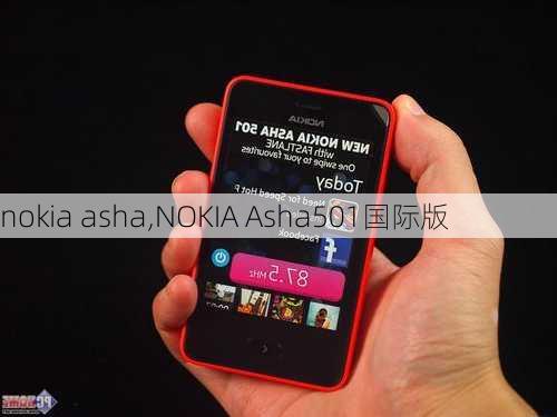 nokia asha,NOKIA Asha501国际版