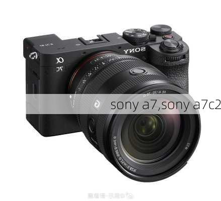 sony a7,sony a7c2