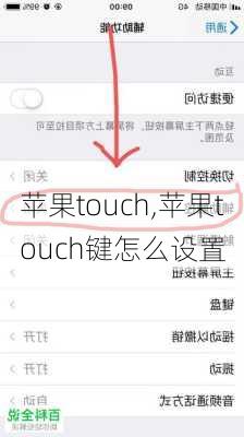 苹果touch,苹果touch键怎么设置