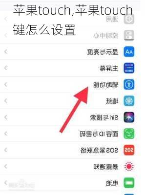 苹果touch,苹果touch键怎么设置