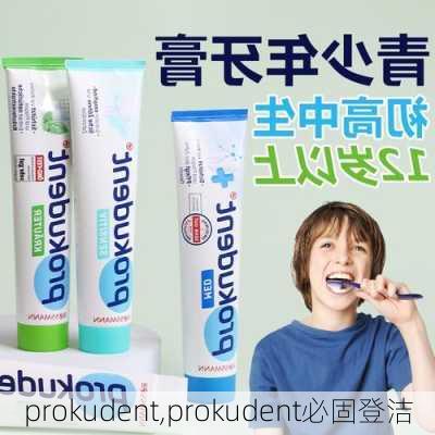 prokudent,prokudent必固登洁