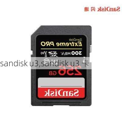 sandisk u3,sandisk u3 卡