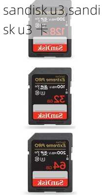 sandisk u3,sandisk u3 卡