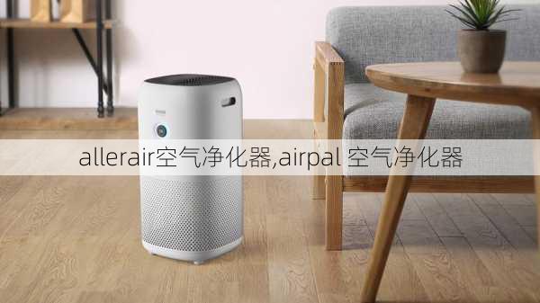 allerair空气净化器,airpal 空气净化器