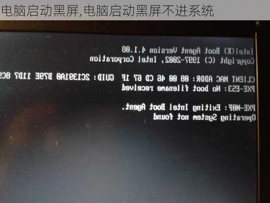 电脑启动黑屏,电脑启动黑屏不进系统