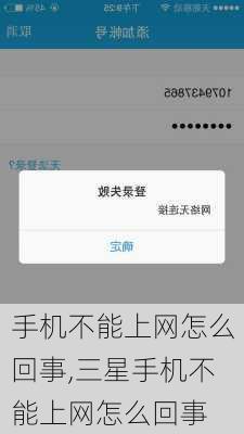 手机不能上网怎么回事,三星手机不能上网怎么回事