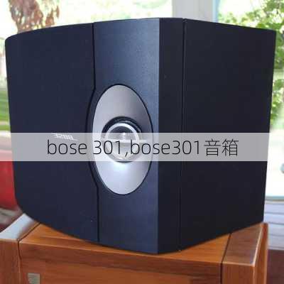 bose 301,bose301音箱