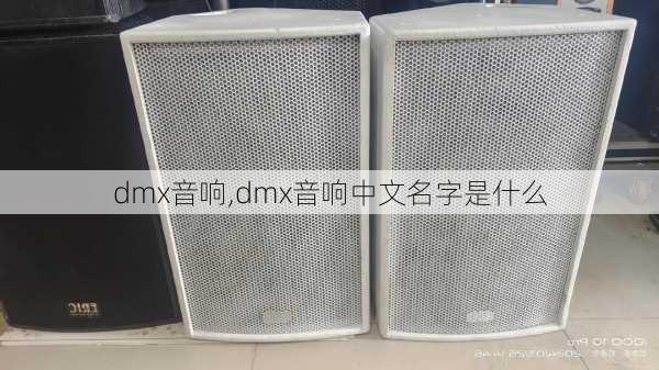 dmx音响,dmx音响中文名字是什么