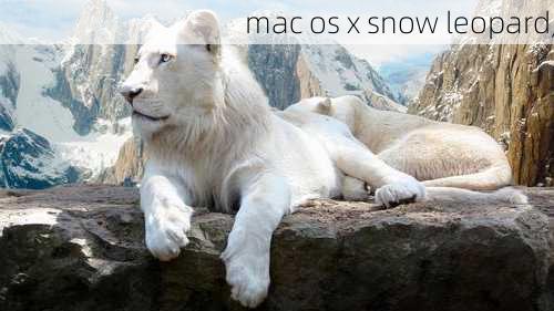 mac os x snow leopard,