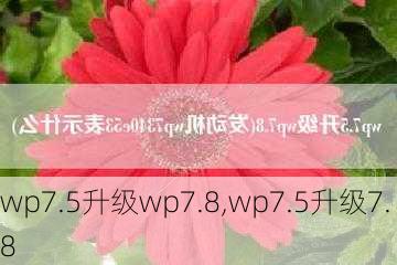 wp7.5升级wp7.8,wp7.5升级7.8