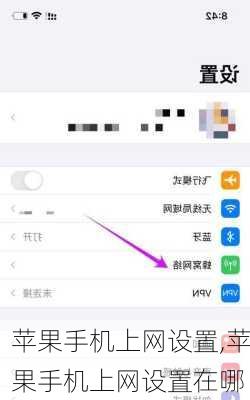 苹果手机上网设置,苹果手机上网设置在哪