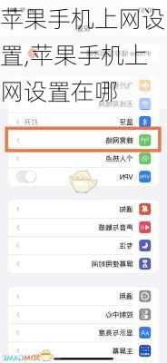 苹果手机上网设置,苹果手机上网设置在哪