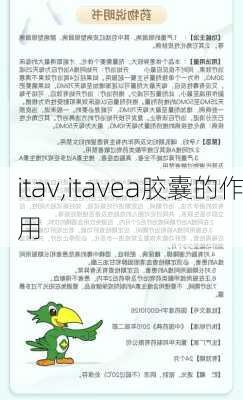 itav,itavea胶囊的作用