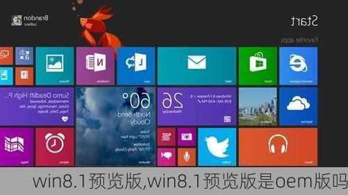 win8.1预览版,win8.1预览版是oem版吗