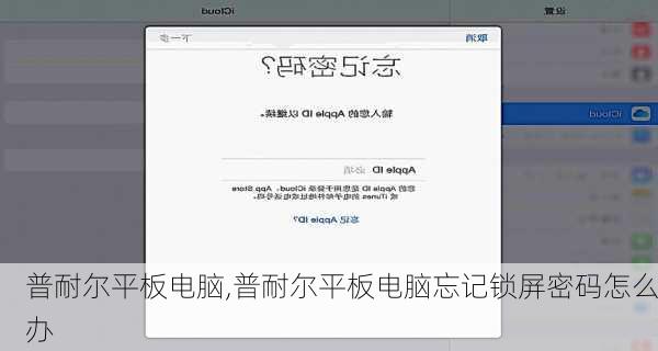 普耐尔平板电脑,普耐尔平板电脑忘记锁屏密码怎么办