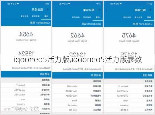 iqooneo5活力版,iqooneo5活力版参数