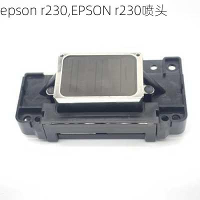 epson r230,EPSON r230喷头